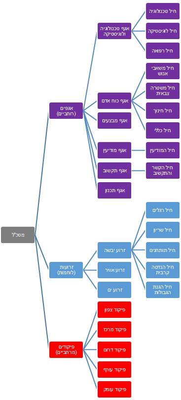 תרשים מבנה ארגוני